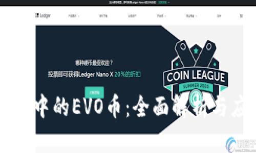 : IM钱包中的EVO币：全面解析与应用前景